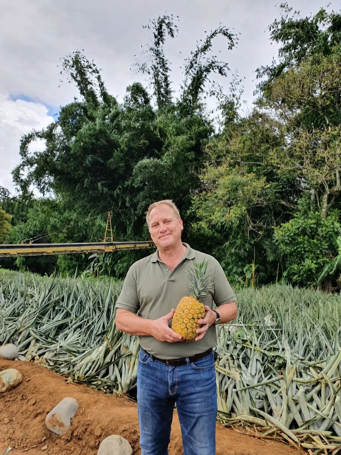 Mark Allen during a pineapple plantation visit